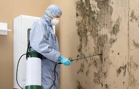 Professional Mold Inspection in Indian Trail, NC